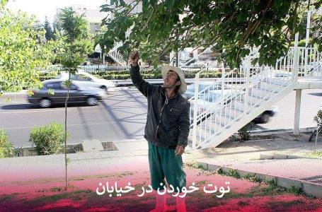 خطرات توت خوردن در خیابان