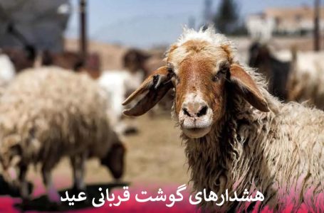 گوشت قربانی عید