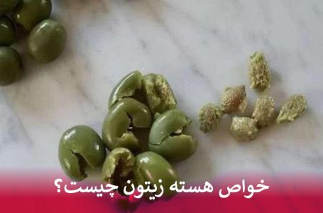خواص هسته زیتون چیست؟