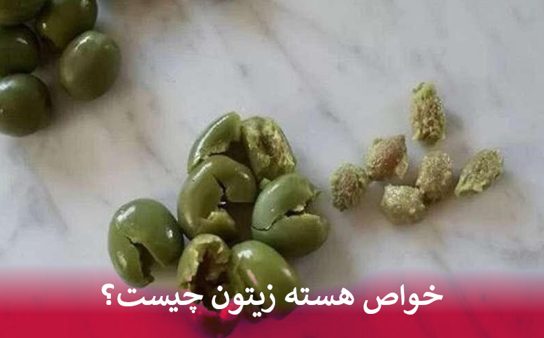 خواص هسته زیتون چیست؟