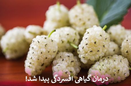 درمان گیاهی افسردگی