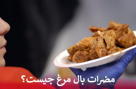 مضرات بال مرغ