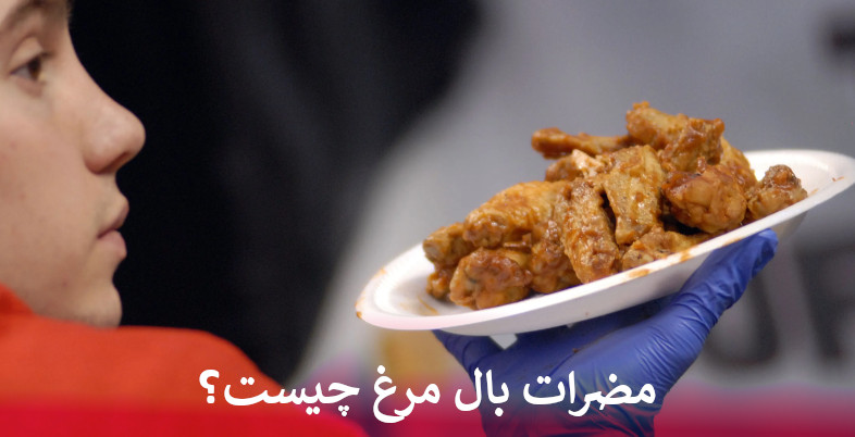 مضرات بال مرغ