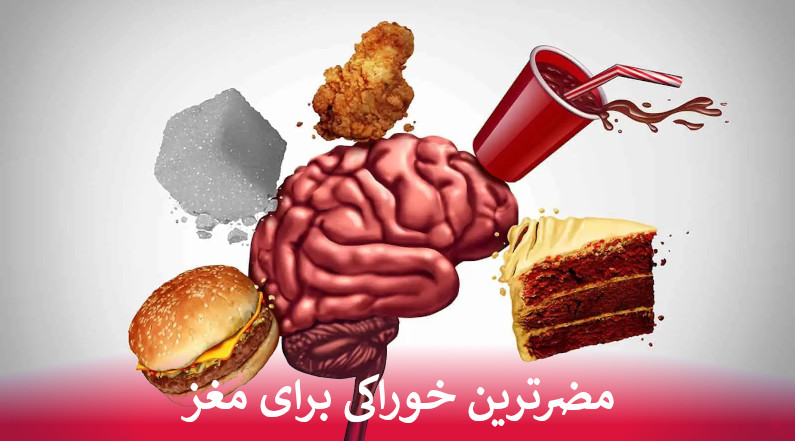 مضرترین خوراکی برای مغز