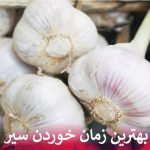 بهترین زمان خوردن سیر