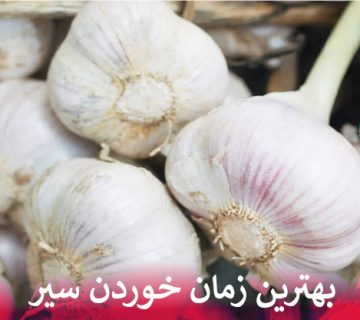 بهترین زمان خوردن سیر