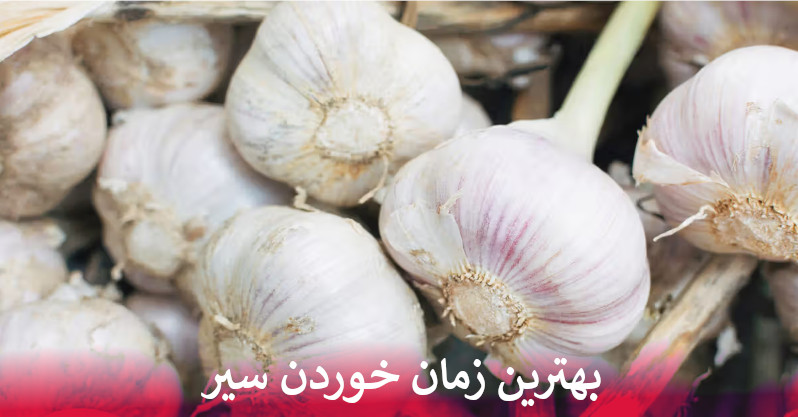 بهترین زمان خوردن سیر