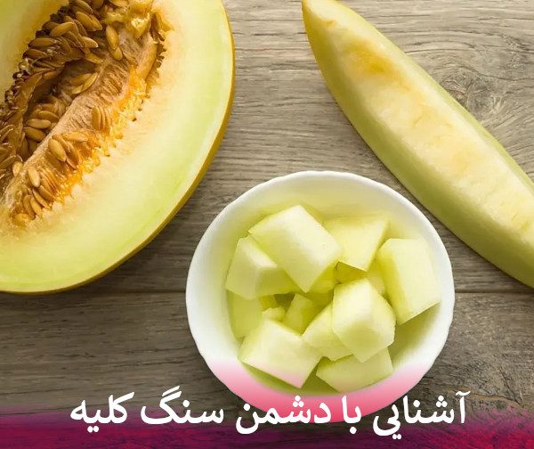 آشنایی با دشمن سنگ کلیه