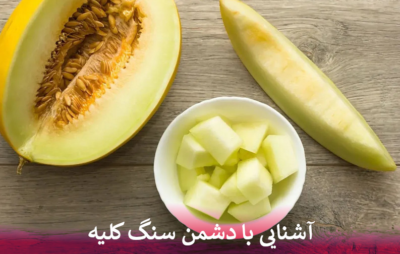 آشنایی با دشمن سنگ کلیه