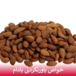خواص باورنکردنی بادام