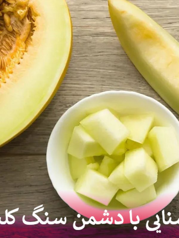 آشنایی با دشمن سنگ کلیه