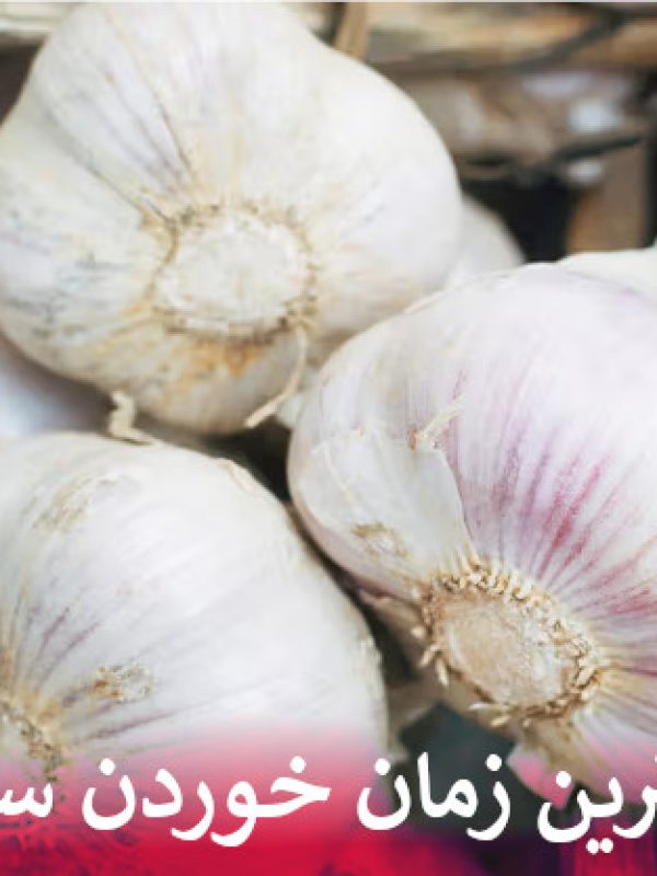 بهترین زمان خوردن سیر