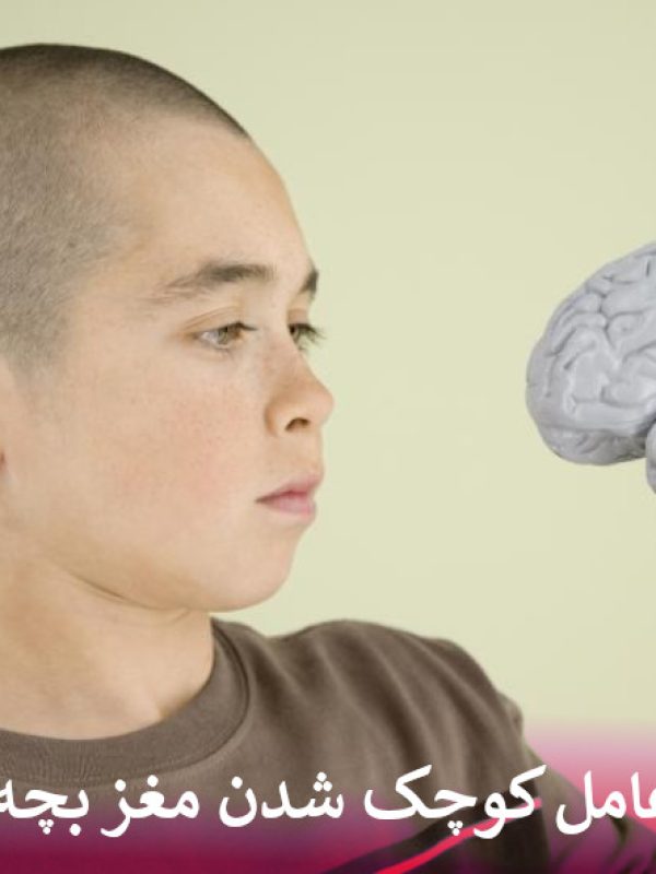 عامل کوچک شدن مغز بچه